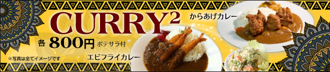 カレー2種